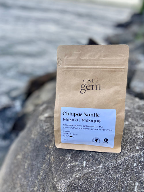 A kraft paper pouch of Cafe Gem Chiapas Nantic Mexico specialty coffee sits outdoors.